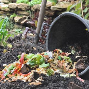Food scraps for garden composting