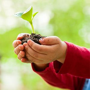 child holding seedling