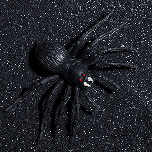 black glitter spider