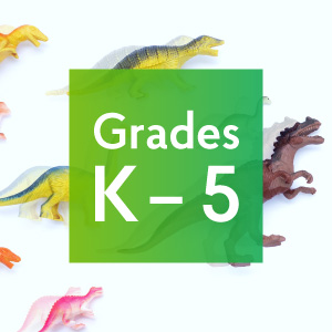 Grades K-5 stop motion