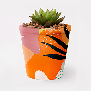 Succulent in a flower pot painted with an abstract pattern