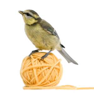 Bird perched on a ball of yellow yarn