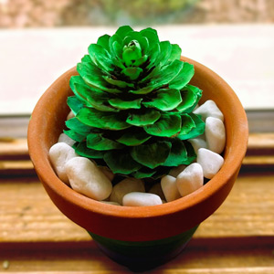 A green painted pinecone "planted" in a terracotta pot