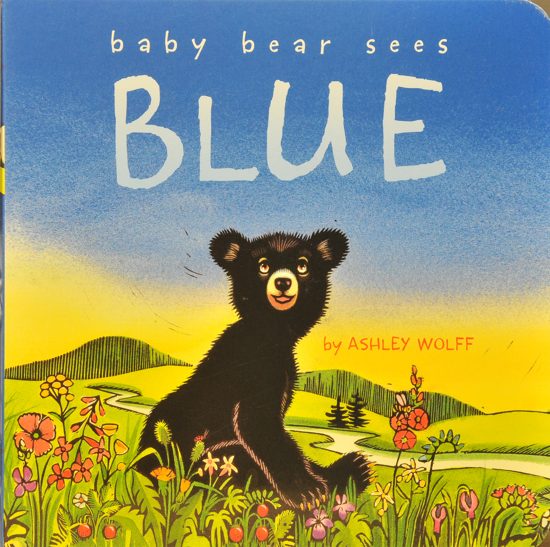 "Baby Bear Sees Blue" book cover