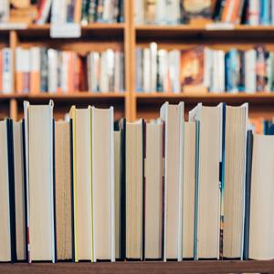 Books lined up on shelf