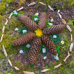 Mandala made of pinecones, flowers, and sticks