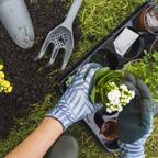 Hands wearing gardening gloves potting a plant. 