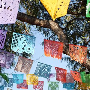 Colorful flags hanging from tree branches